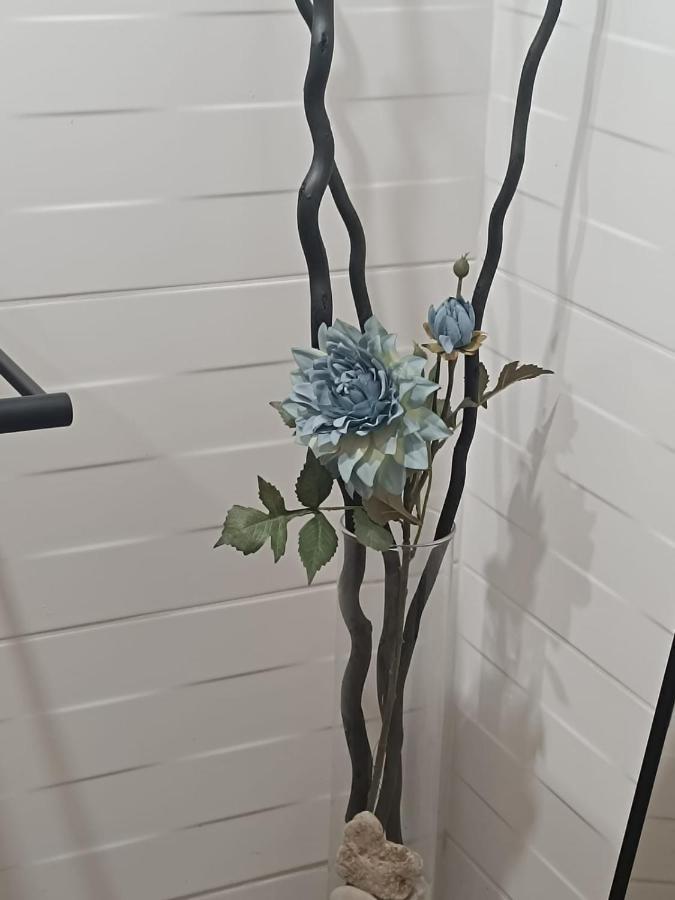 Apartament Anfiteatre Roma Tarragona Eksteriør bilde